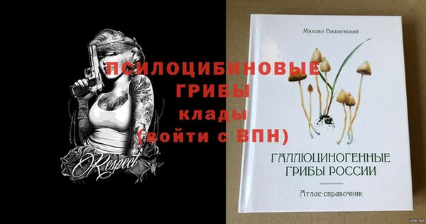 спайс Богданович