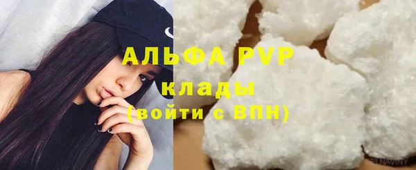 спайс Богданович