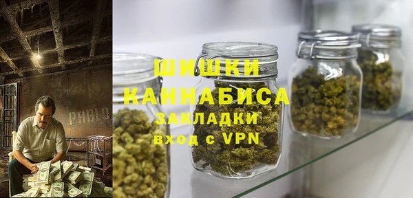 спайс Богданович