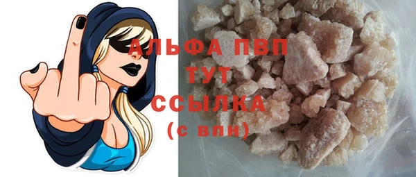 спайс Богданович
