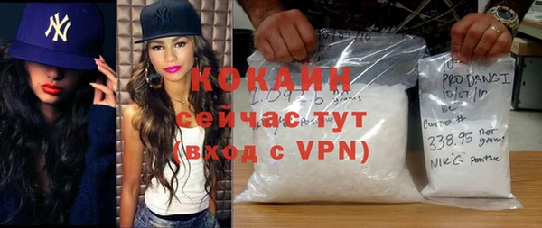спайс Богданович